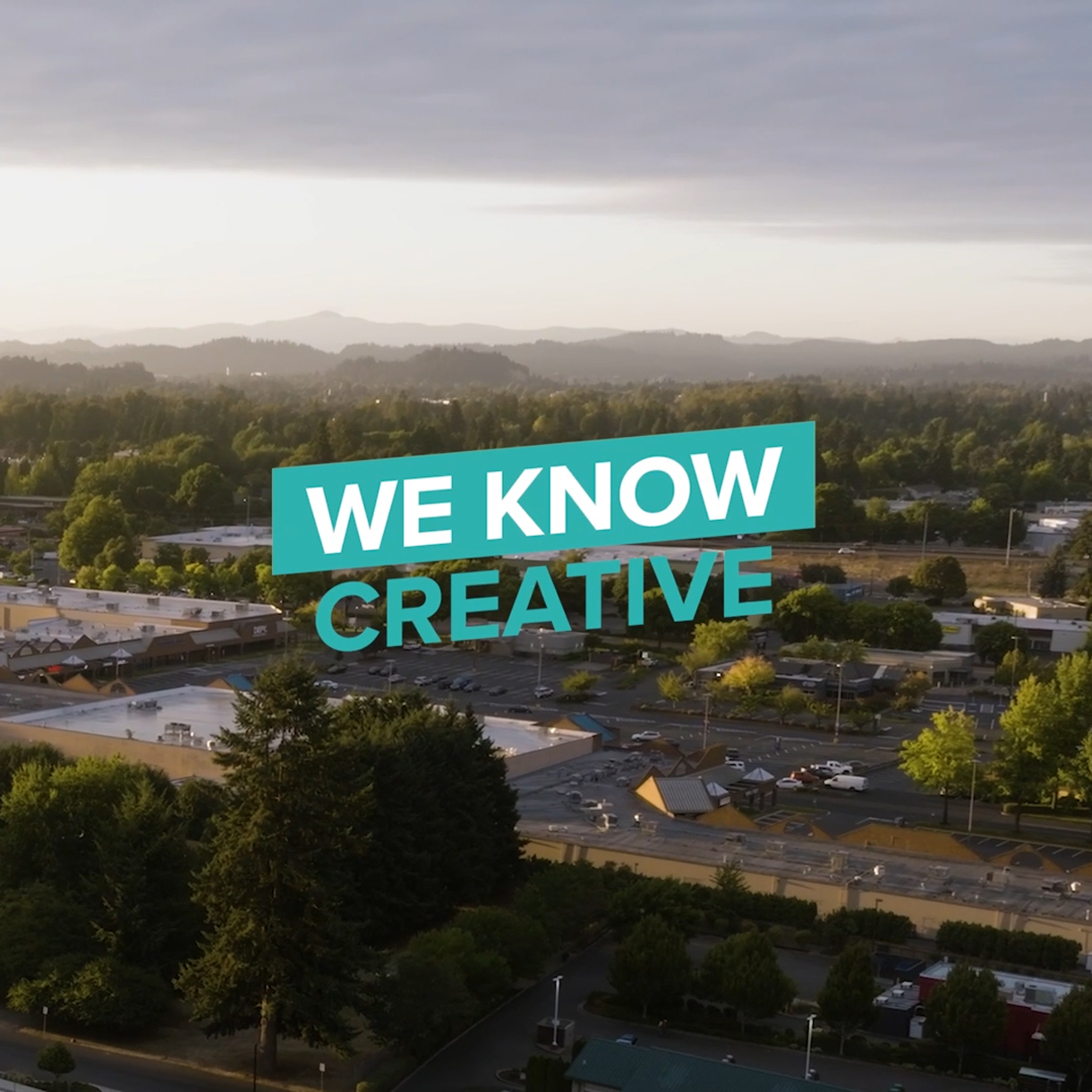 Homepage Video