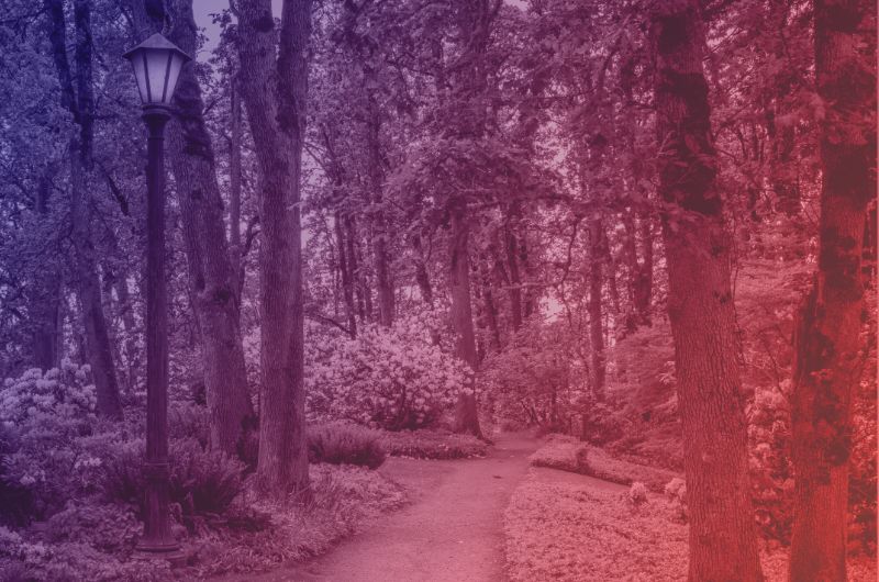COE Parks