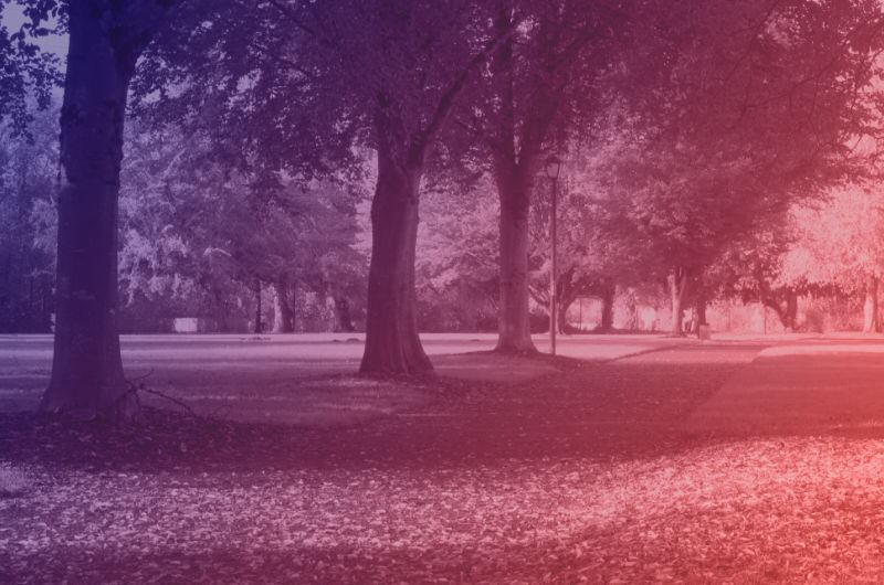 Park Use Value