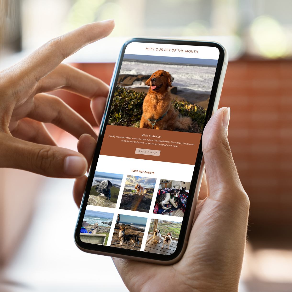 Overleaf Case Study